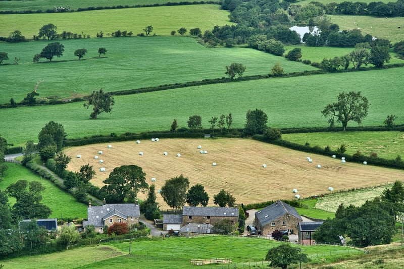Farm-to-Table Options